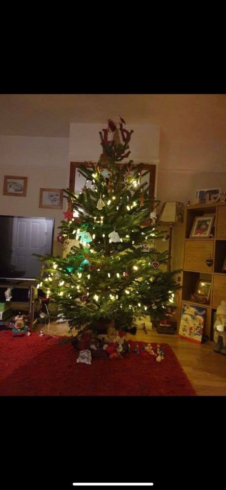 Christmas tree decorated with lights and ornaments, sitting on a red rug.