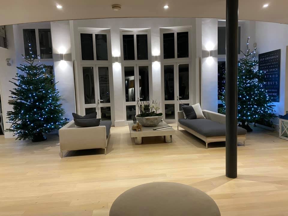 Living room with Christmas trees, modern furniture, and large windows.