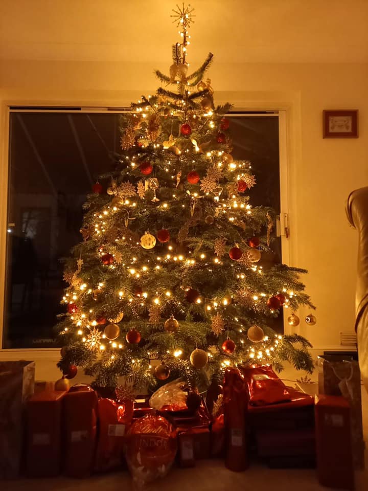 Christmas tree lit with golden lights and ornaments, gifts beneath.