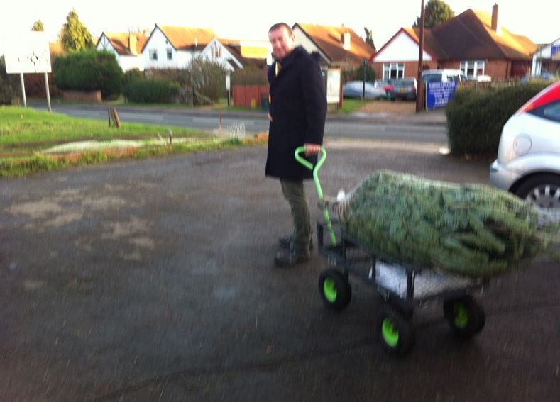 Man pulling Christmas tree on a green-wheeled cart on a wet street. Houses and parked cars in background.