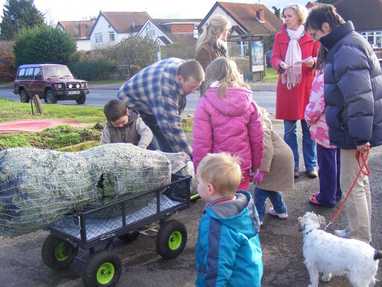 People gather around a wagon holding a wrapped Christmas tree.