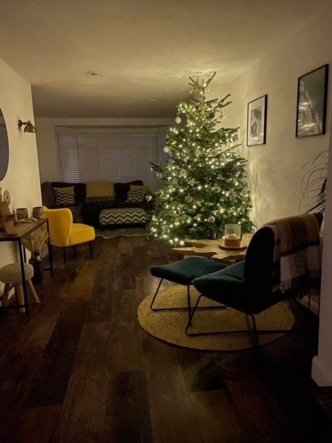 Cozy living room with a lit Christmas tree. Modern furniture, dark wood floors, soft lighting.