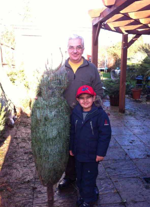 Man and child standing next to a wrapped Christmas tree outdoors. Both smiling.