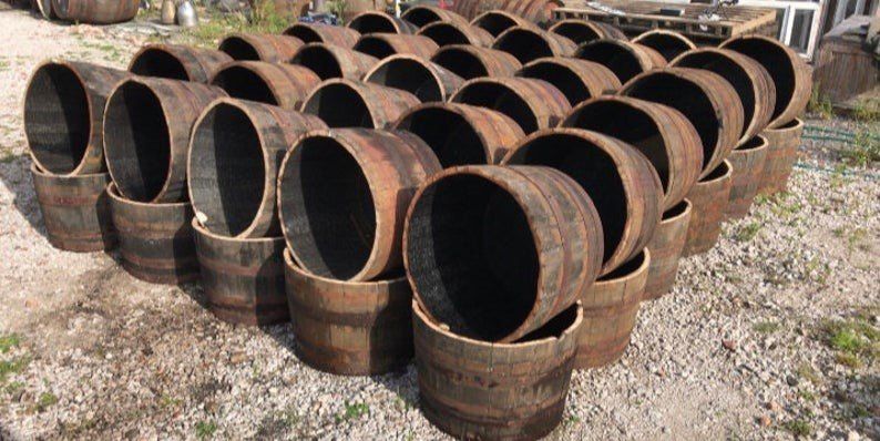 Rows of wooden barrels, stacked with open ends facing up, sit outdoors.