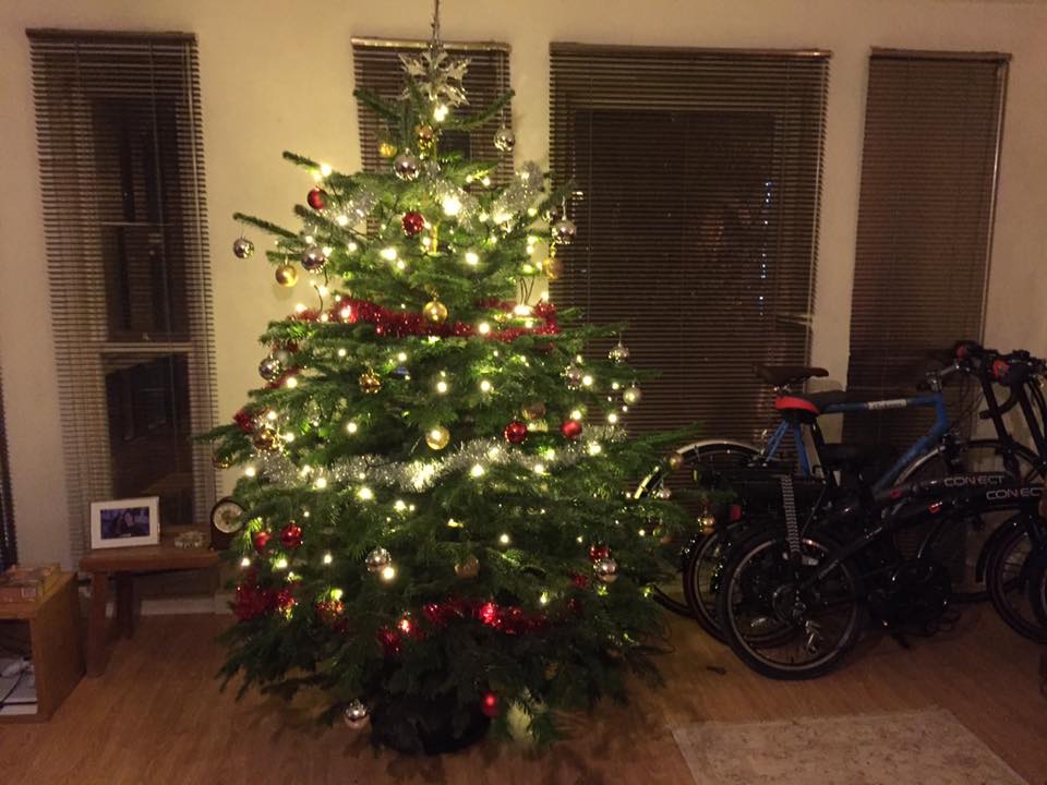 Christmas tree with lights and ornaments, beside a window and bicycles.