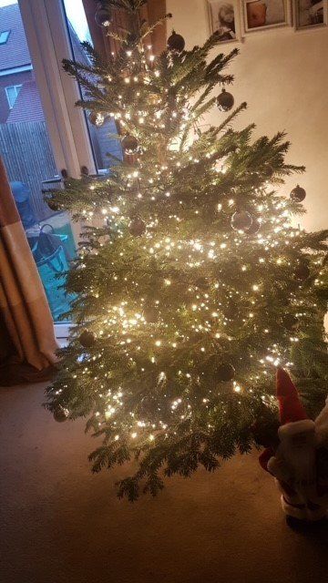 Christmas tree lit with warm lights, in a living room. A dog's head is visible at the bottom right.