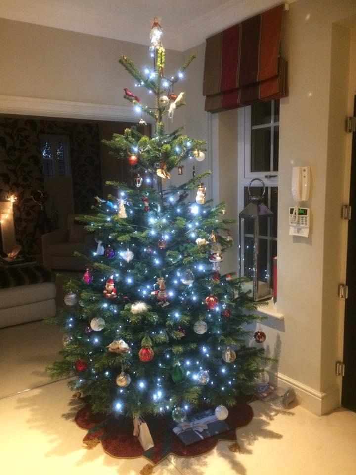 Christmas tree decorated with lights and ornaments indoors.