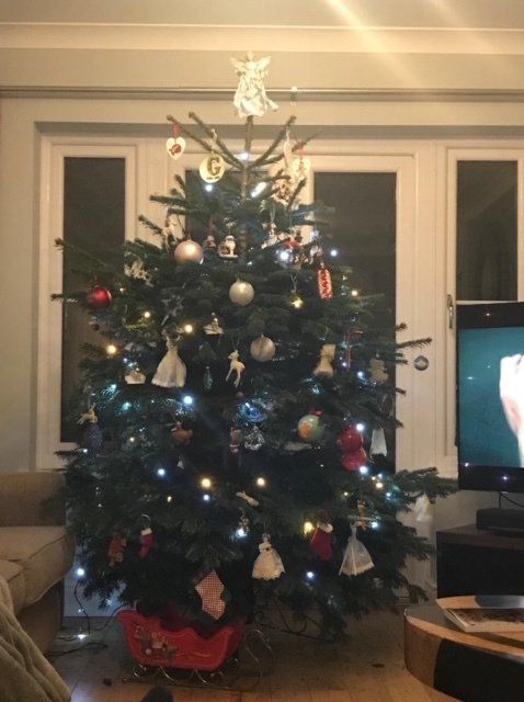 Christmas tree decorated with ornaments and lights in front of a window. A star topper sits at the peak.