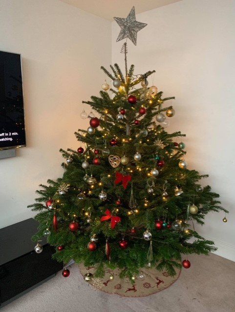 Christmas tree decorated with red and silver ornaments, topped with a star