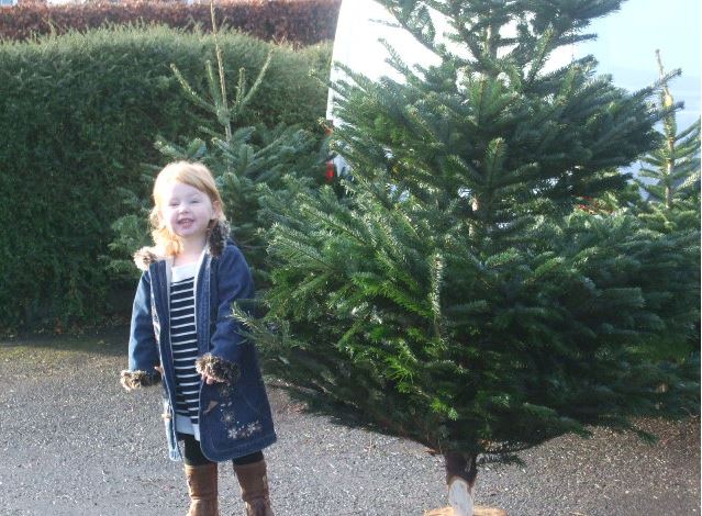 Girl smiling next to a freshly cut Christmas tree, outdoor setting.
