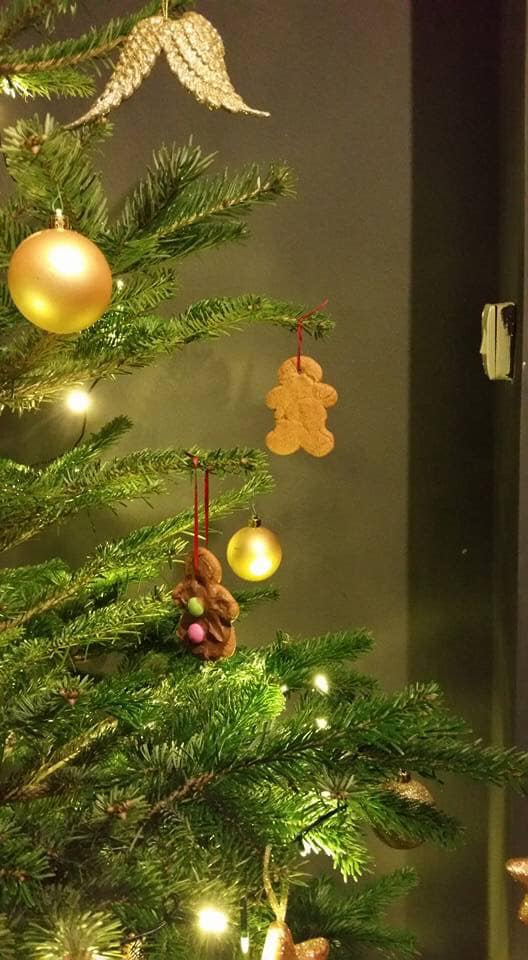 real Christmas Trees for sale