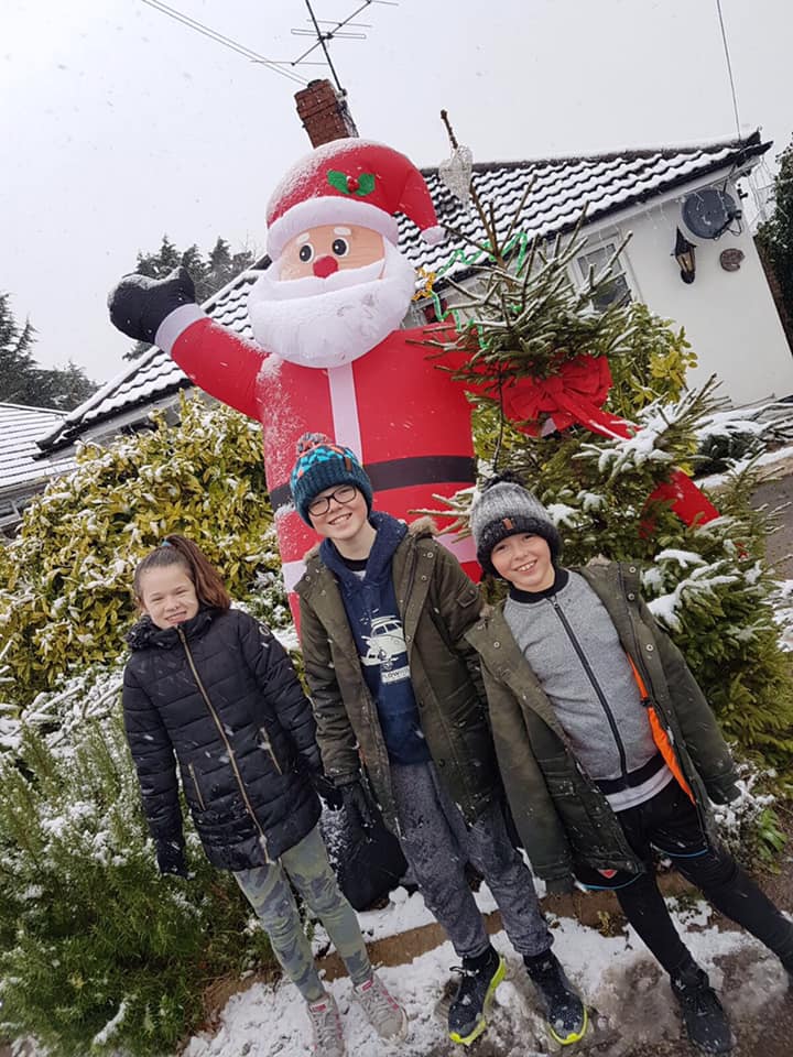 real christmas trees for sale