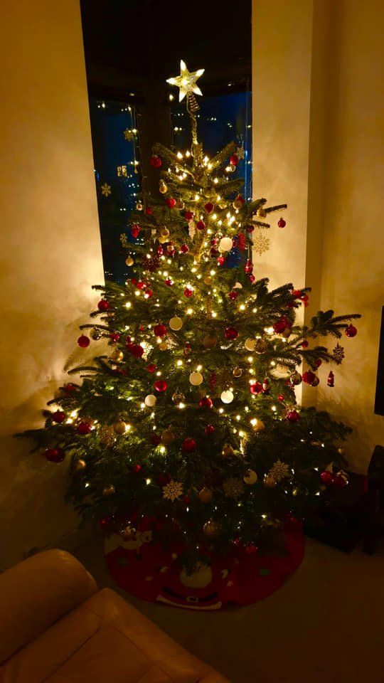 Lit Christmas tree with star topper, red and white ornaments, in front of a window.