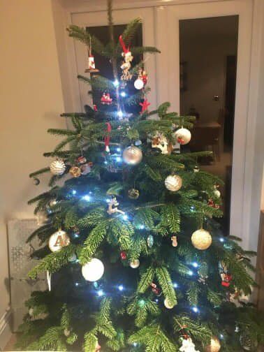 A decorated Christmas tree with white ornaments and blue lights stands in front of a glass door.