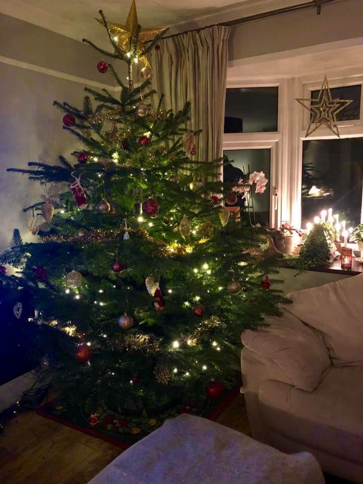 Lit Christmas tree in a living room, decorated with ornaments and a star on top. Soft lighting and a cozy atmosphere.