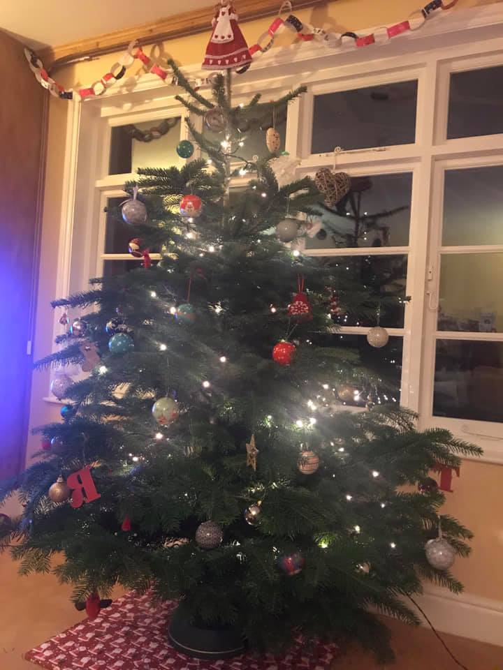 Christmas tree decorated with lights and ornaments in front of a window.