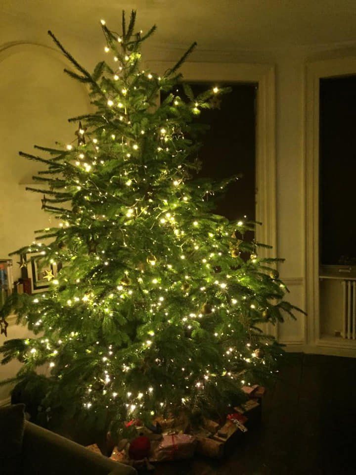 Christmas tree lit with warm white lights, gifts underneath. Indoors, against a window.