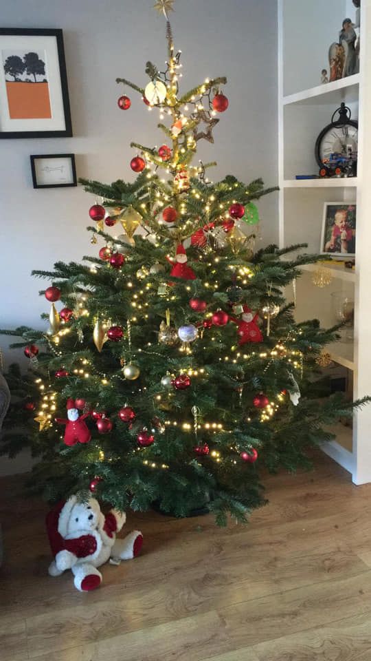 Christmas tree decorated with red ornaments and fairy lights; a stuffed toy sits at its base.