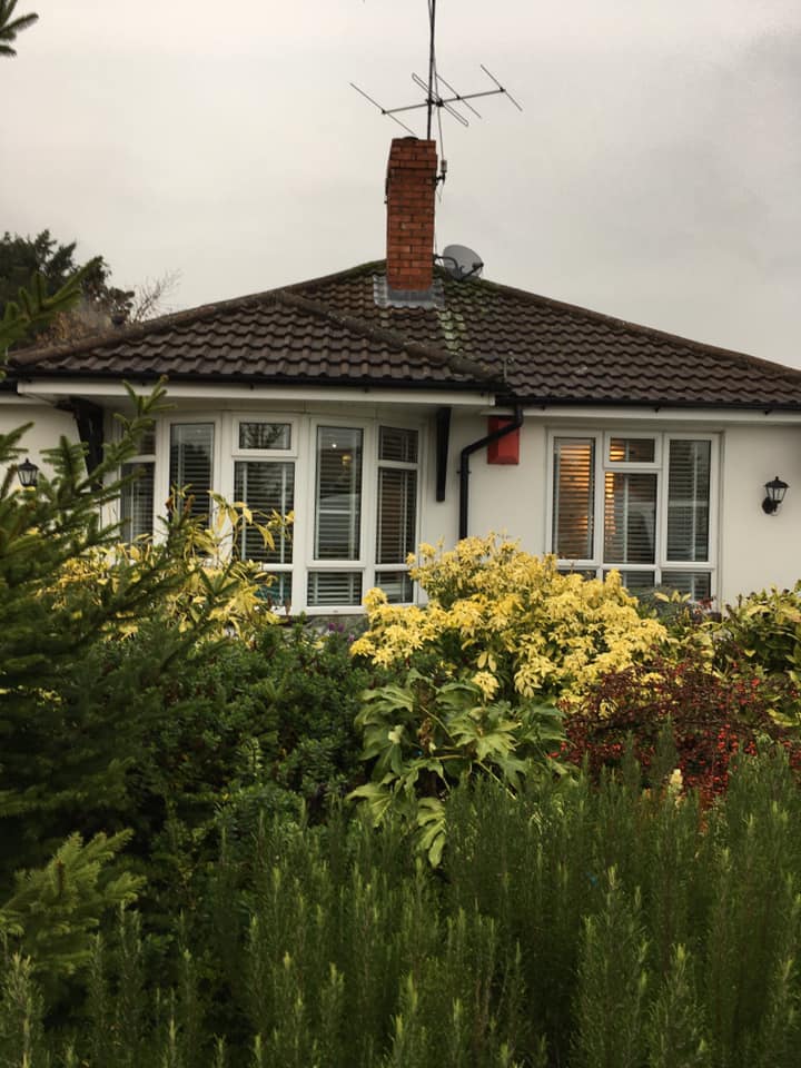 White bungalow with brown roof, surrounded by green and yellow shrubs. Chimney with antenna. Berkshire Christmas Trees 