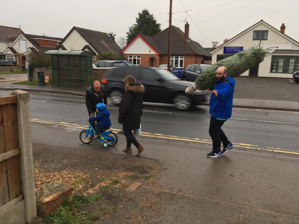 Real Christmas Trees for sale