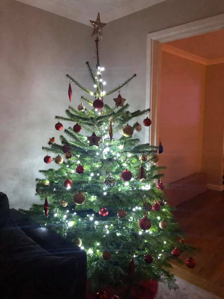 Christmas tree with red and gold ornaments, and a star on top.