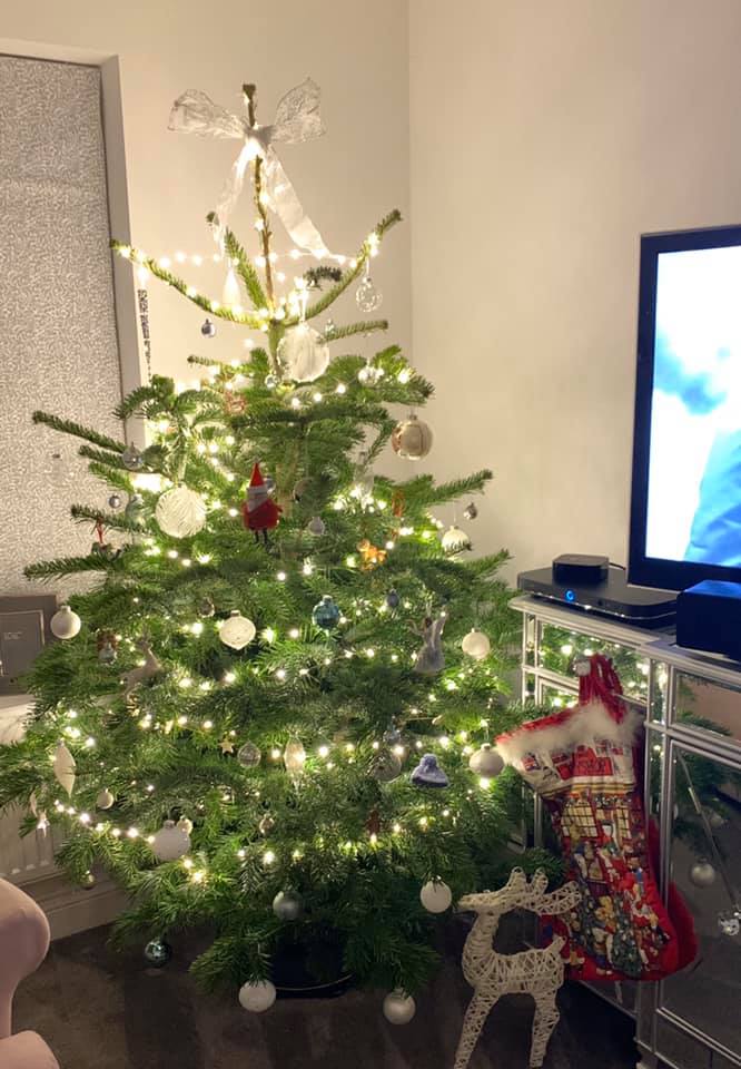 Christmas tree decorated with lights and ornaments, next to a TV and stockings.