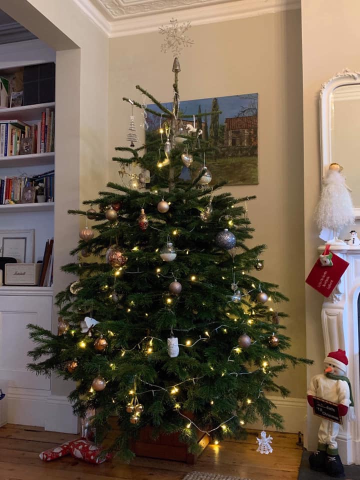Christmas tree decorated with ornaments and lights in a living room, with a bookshelf and fireplace.