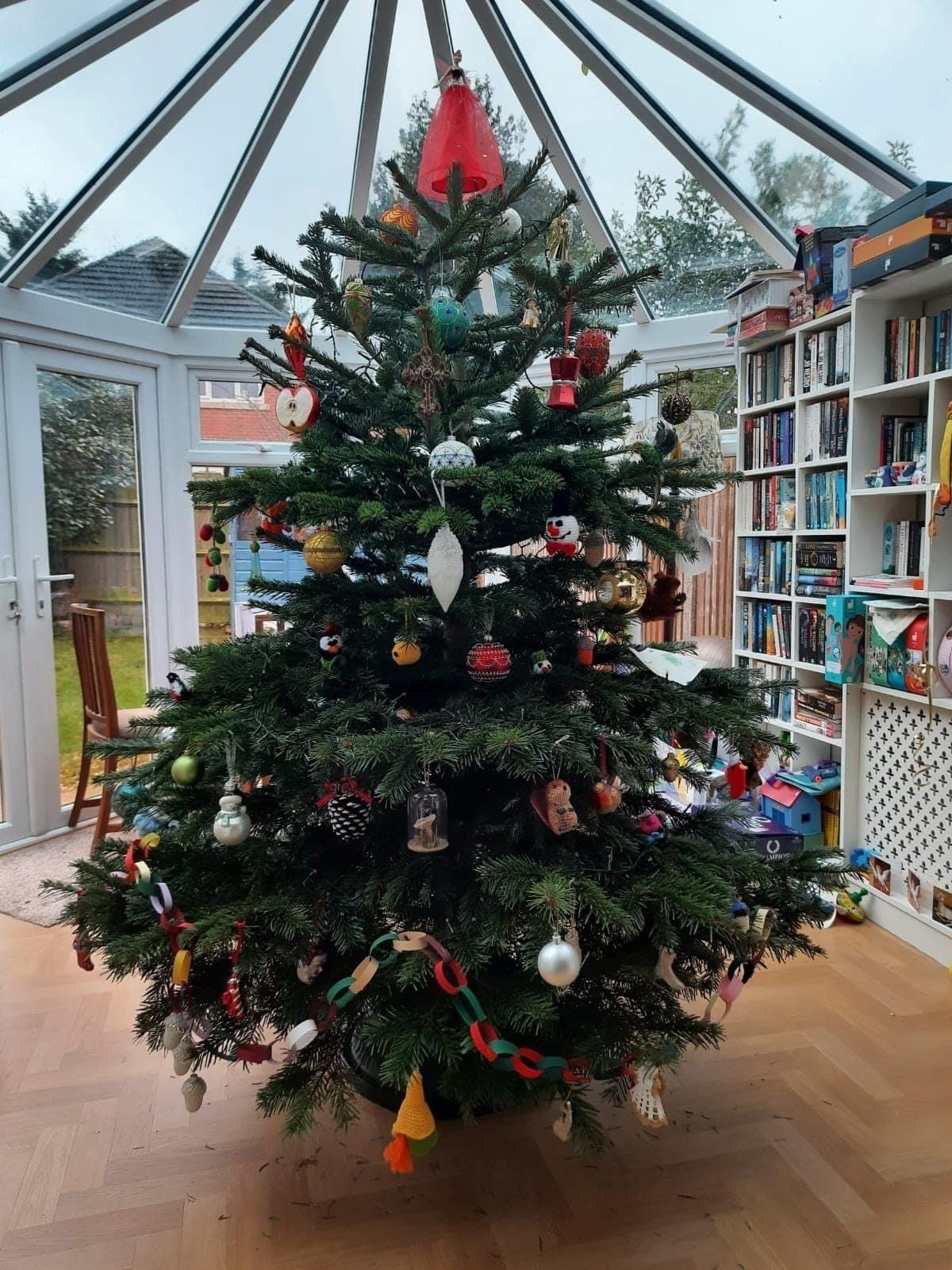 Christmas tree decorated with ornaments in a sunroom; bookshelves in the background.