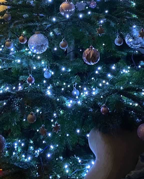 Christmas tree with ornaments and white lights.