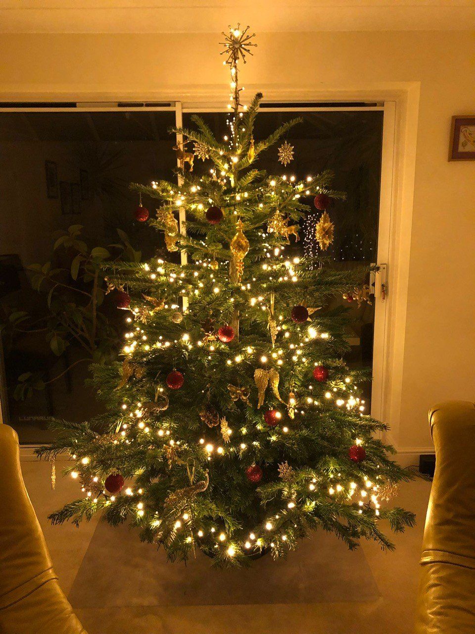 Christmas tree, lit with white lights and ornaments, in front of a window at night.