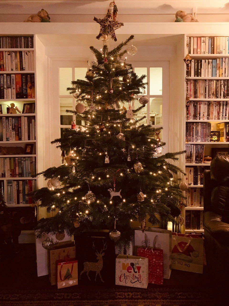 Christmas tree decorated with lights and ornaments, in front of bookshelves and wrapped gifts.