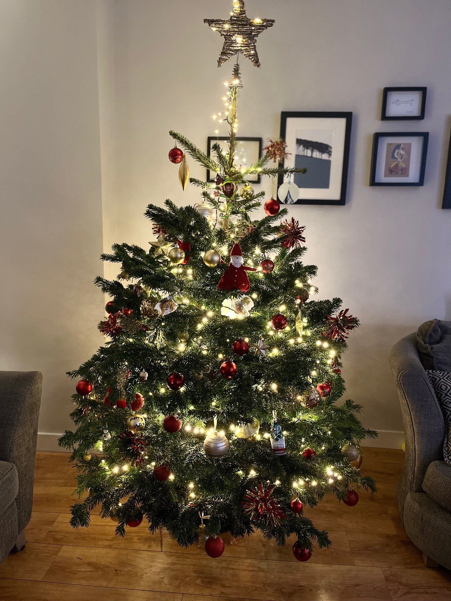 Christmas tree decorated with red ornaments and lights, topped with a star.