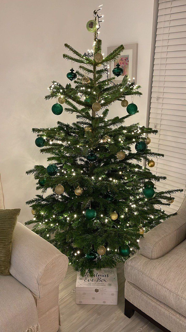Christmas tree decorated with green and gold ornaments, lit with white lights.