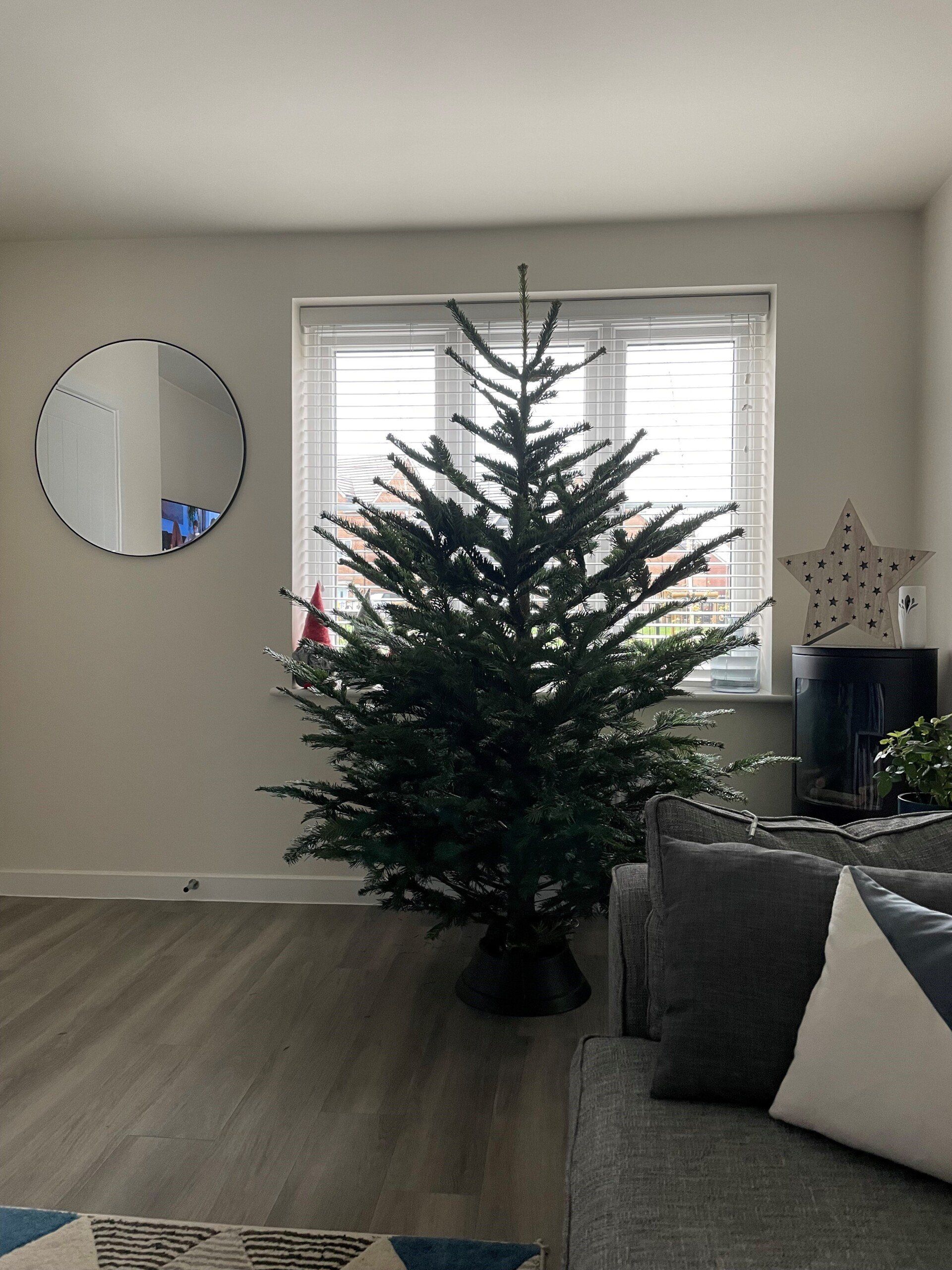 Christmas tree in front of a window, next to a couch. There's a round mirror on the wall.