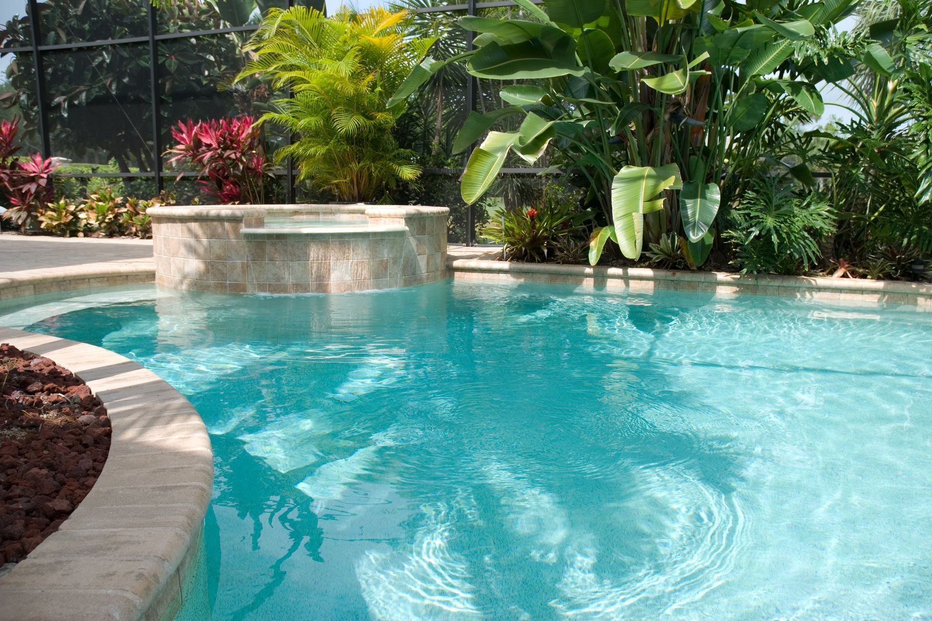 Outdoor pool with spa, tropical plants, and screened enclosure.