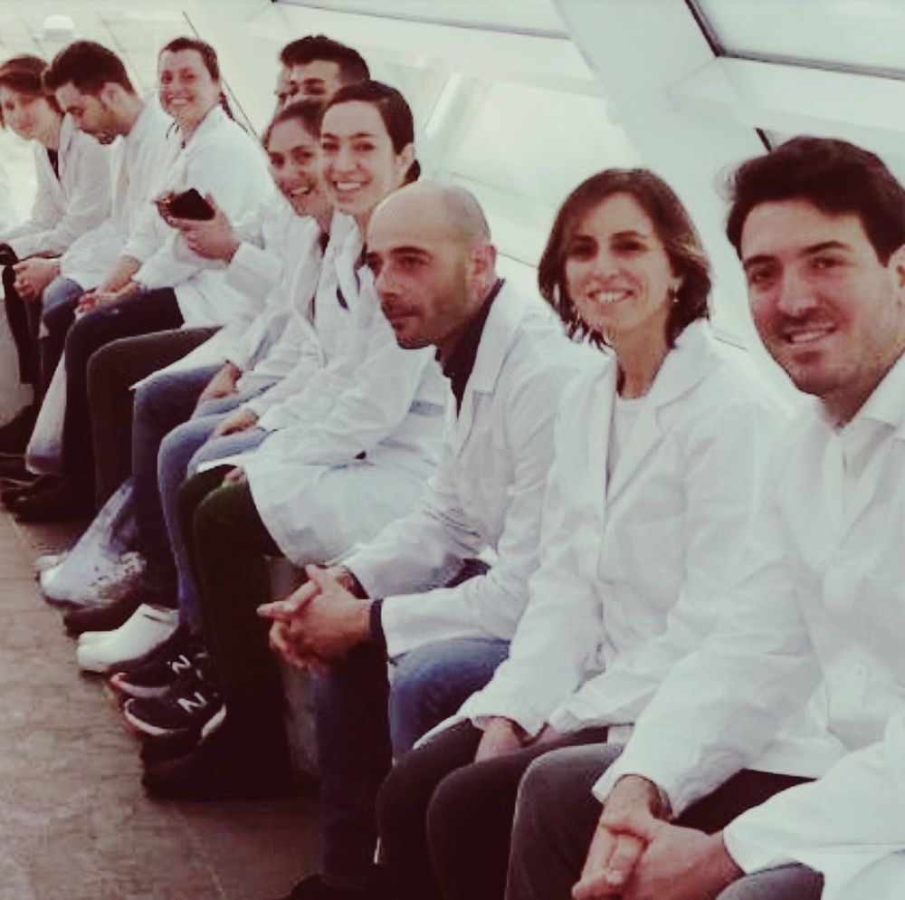 TERAPIE OSTEOPATICHE