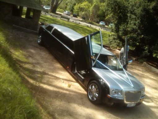 View of a limousine with open doors parked in the garden 