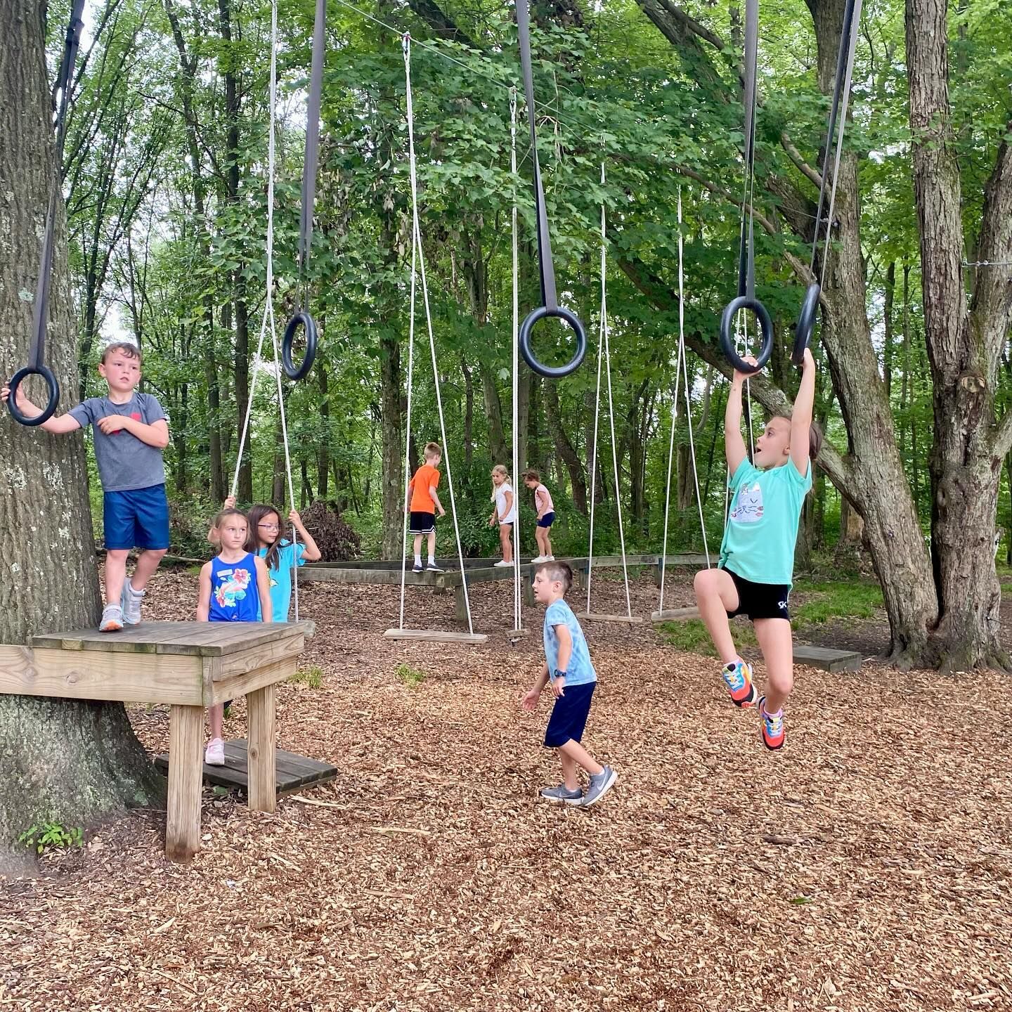 Children playing on an outdoor obstacle course with rings, ropes, and a platform in a wooded area.