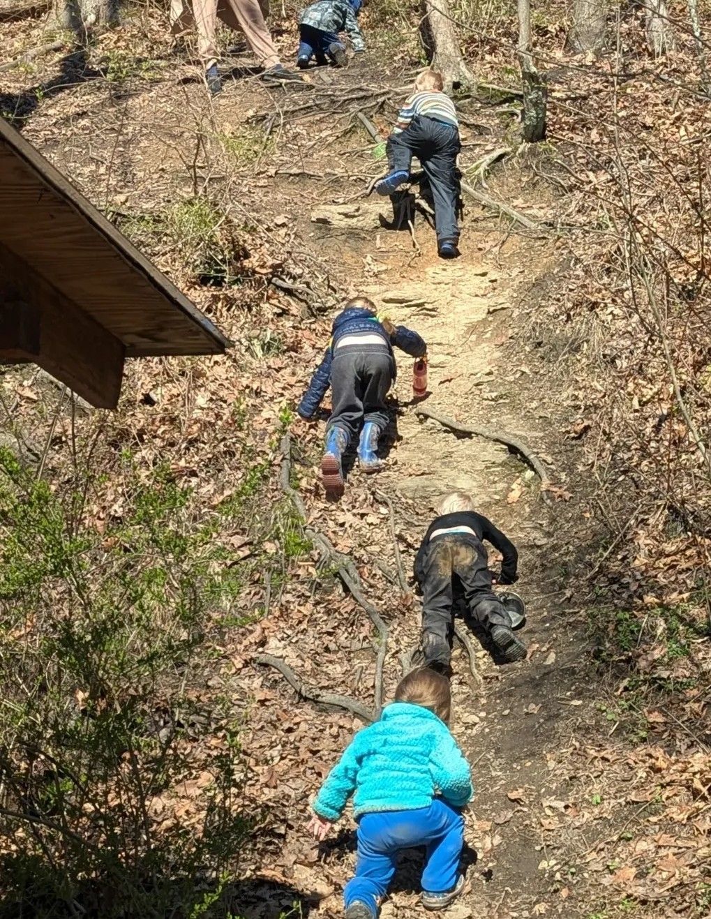 Children climbing a steep, dirt path in a wooded area.