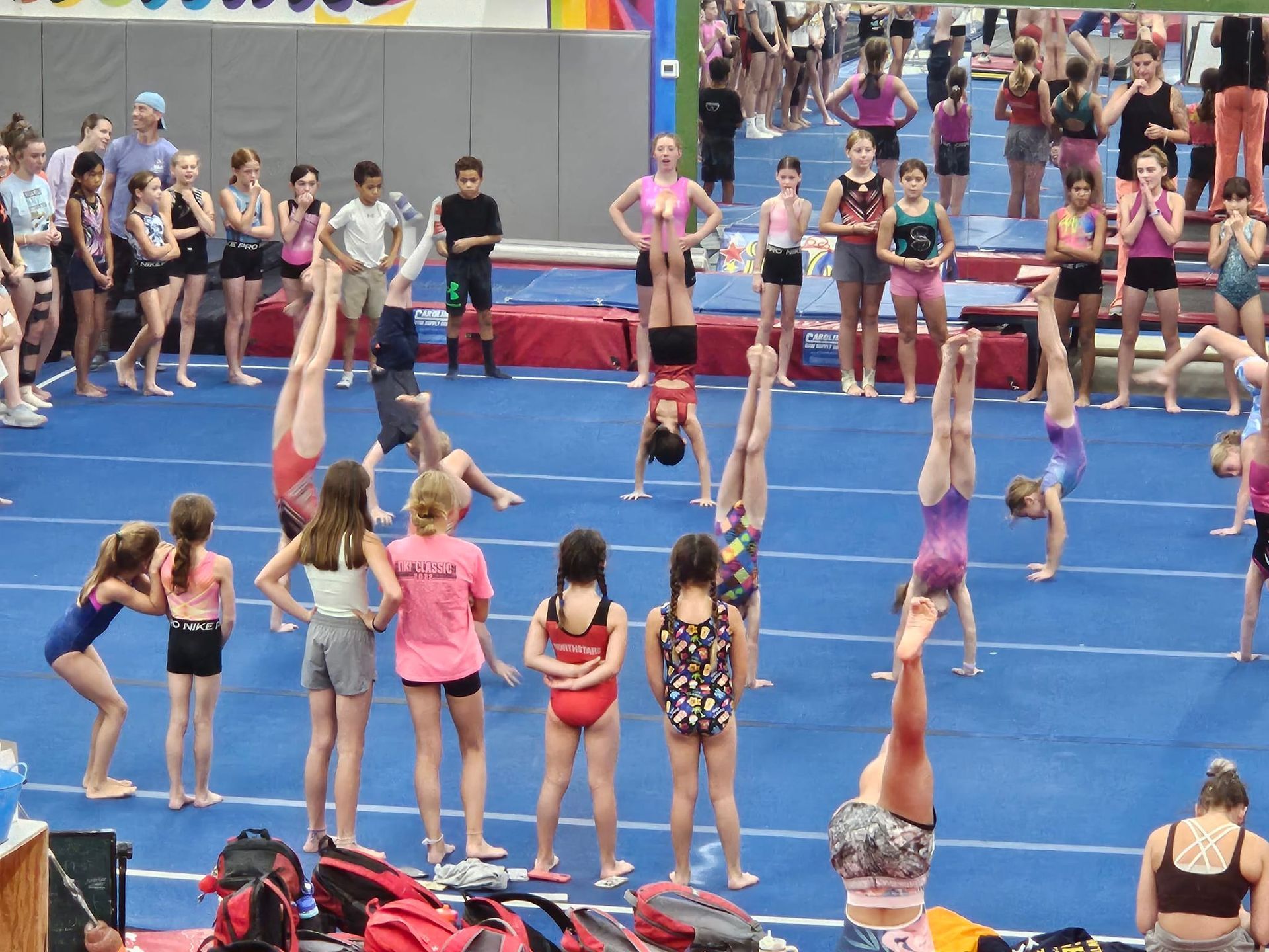 Gymnasts practicing handstands on a blue mat, observed by others in a gym setting.