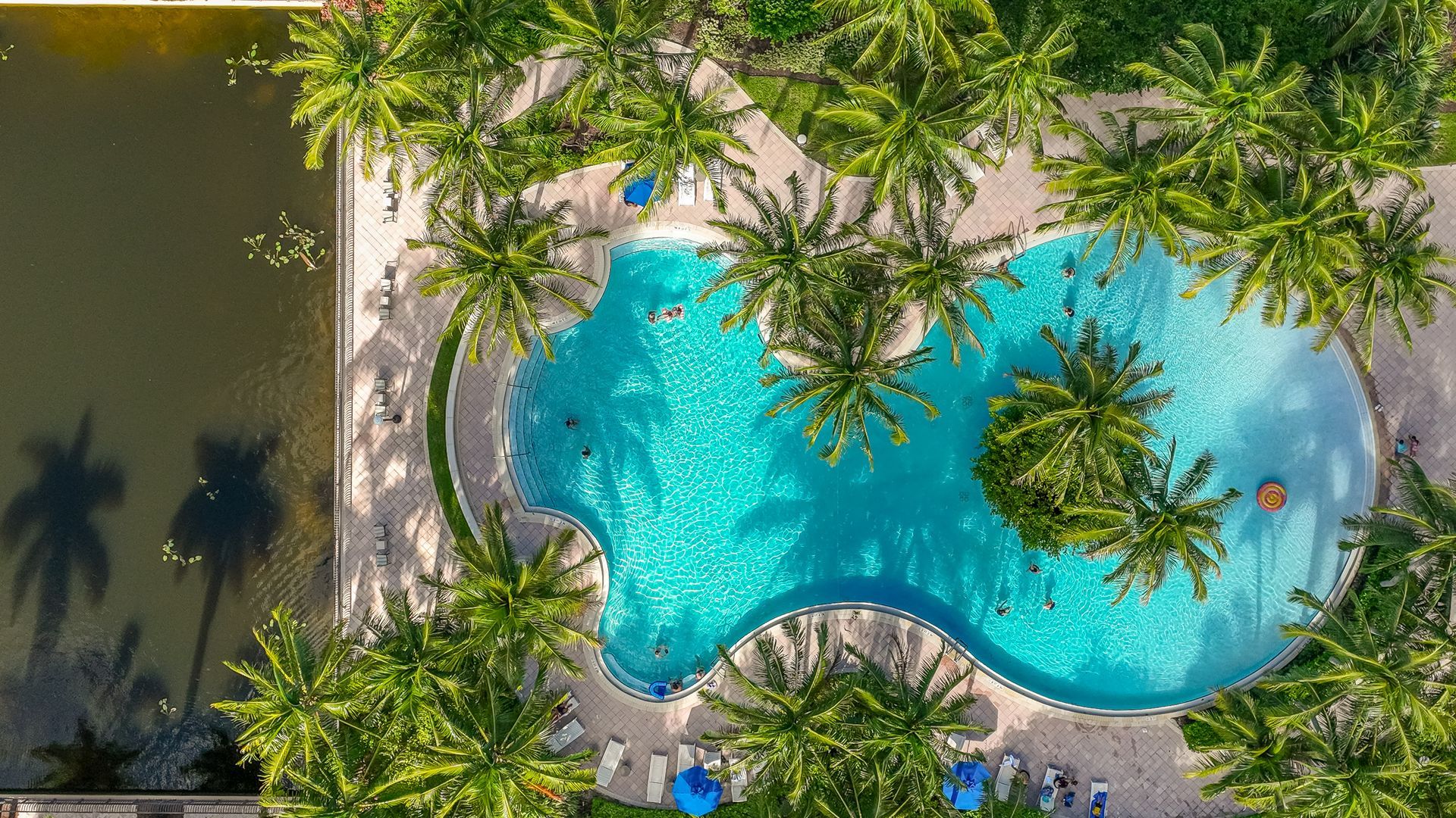 A turquoise, free-form swimming pool surrounded by palm trees and a adjacent lake, viewed from directly above.