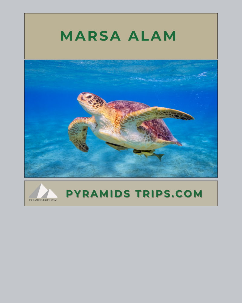 Egypt Tours
