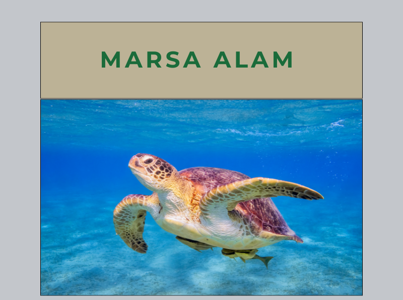 Tours in Marsa Alam, Red sea, Egypt
