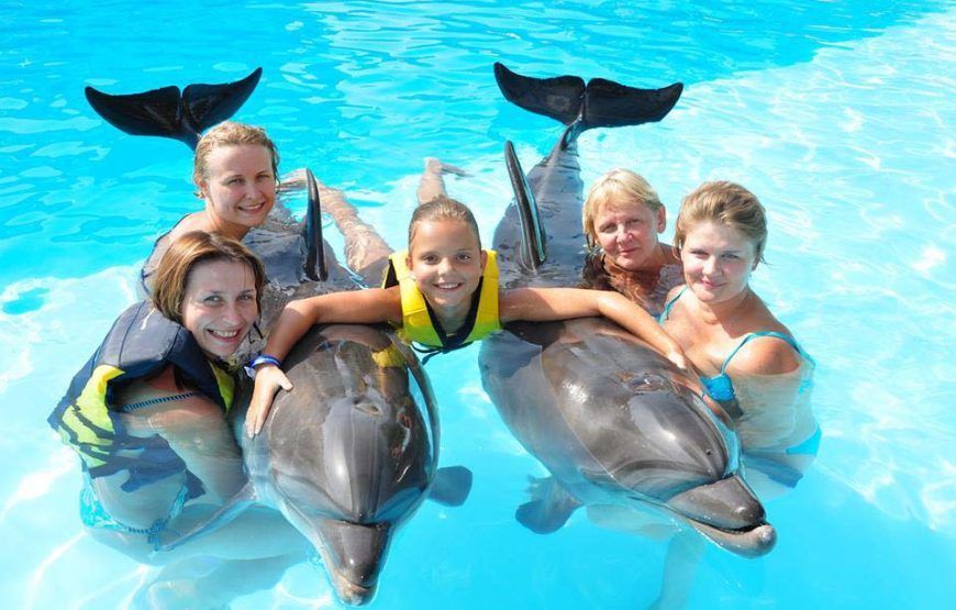 Hurghada Tours