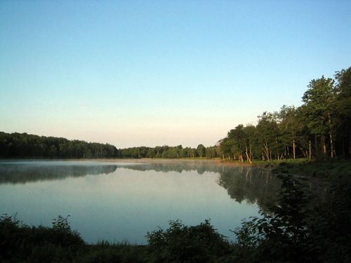 Tranquil lake with fog, surrounded by green trees under a blue sky.