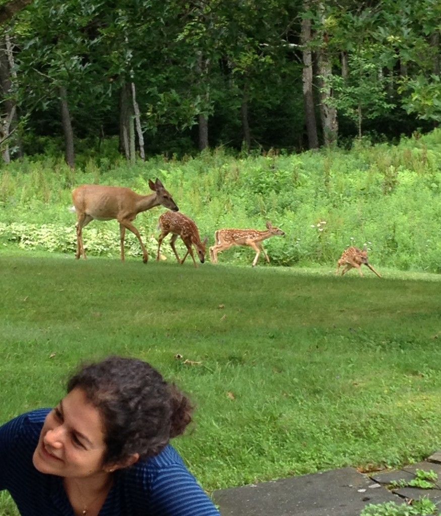 Woman smiles, watches deer and two fawns graze in a grassy yard near a forest.