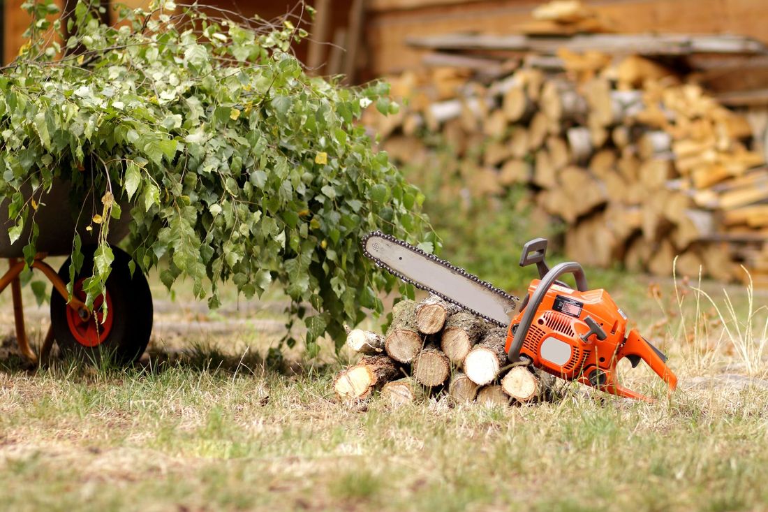 A chainsaw is sitting on top of a pile of logs.
