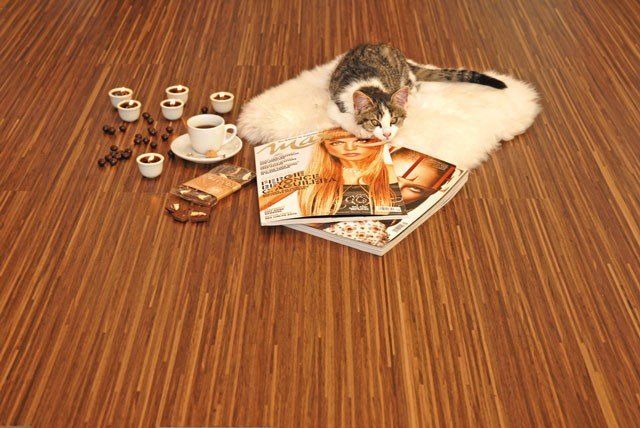 Eine Katze liegt auf einem Holzboden neben einem Stapel Zeitschriften.