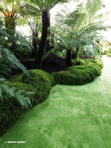 Ein üppiger grüner Garten mit vielen Pflanzen und Bäumen.