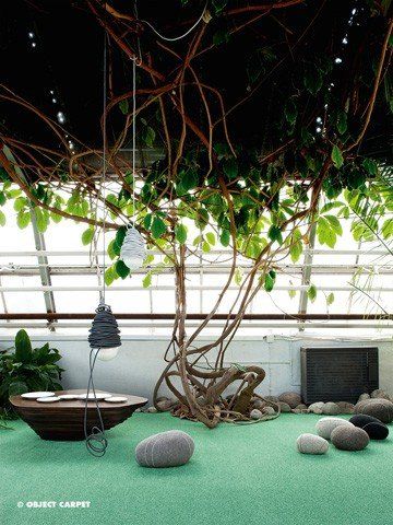 Ein Gewächshaus mit einem Baum, der von der Decke hängt